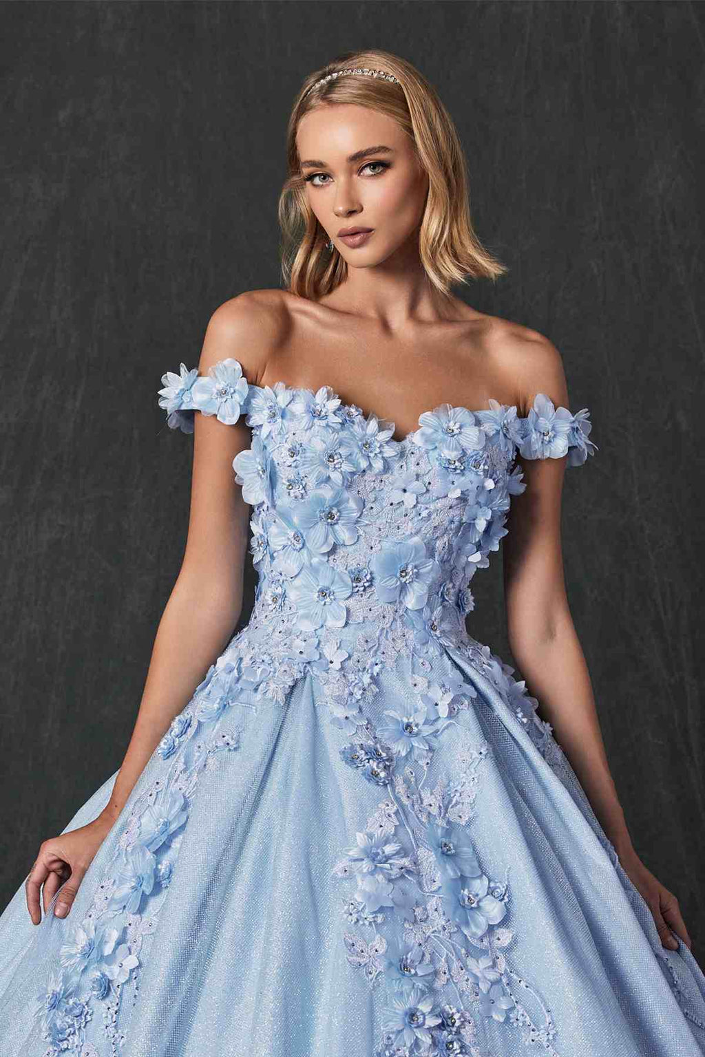 Juliet 1433 Dress Quinceanera Ball Gown 3D Floral Embroidered