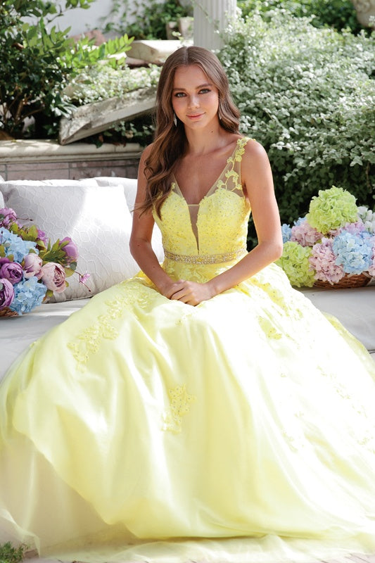 Juliet 224 V-Neck and Back Embroidered Tulle A-Line Ball Gown