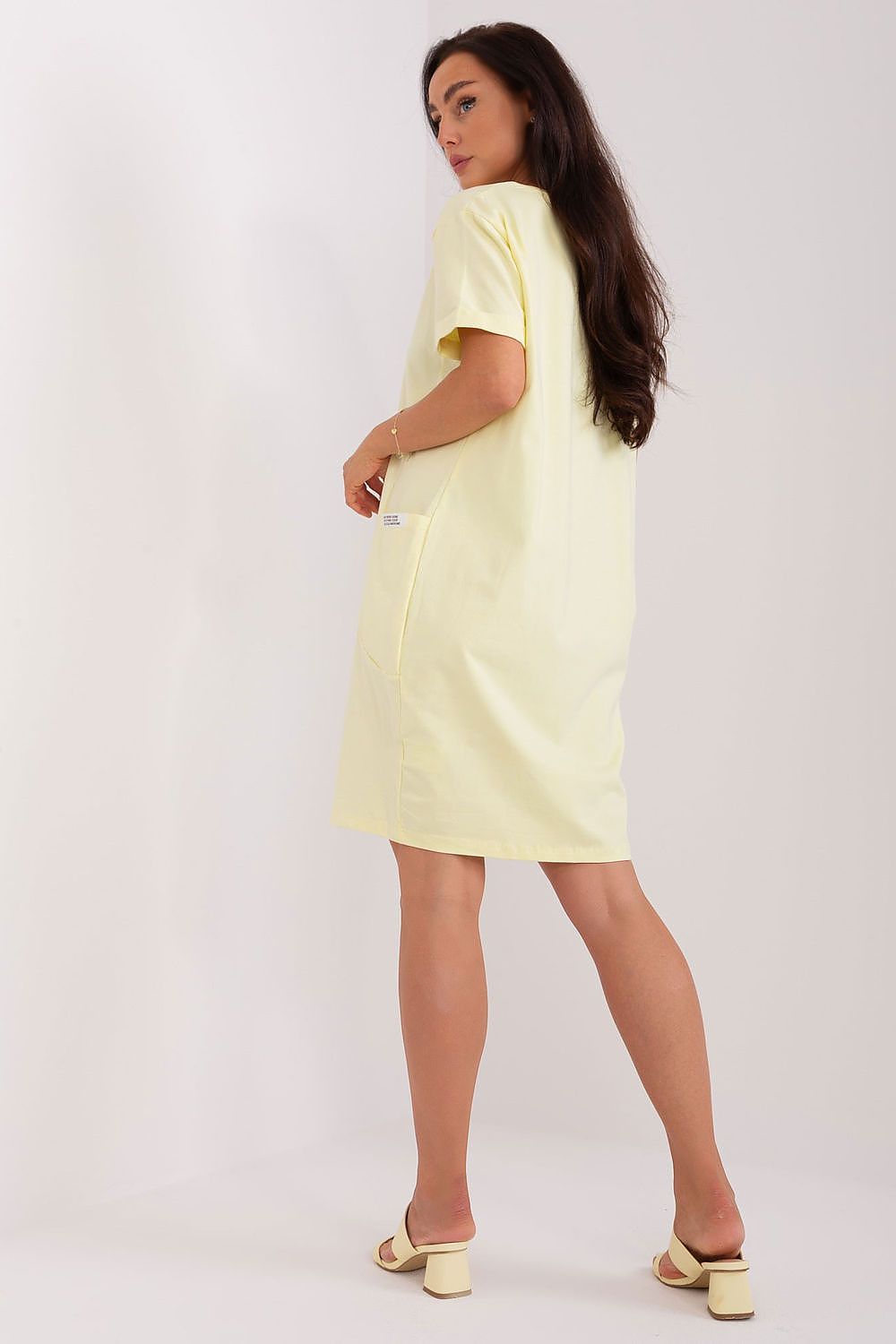  Daydress model 227378 Rue Paris 