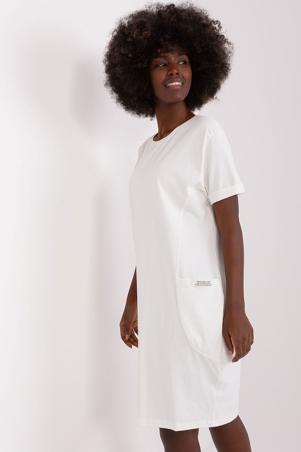  Daydress model 227382 Rue Paris 